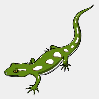 Jewlelled Gecko Thumbnail